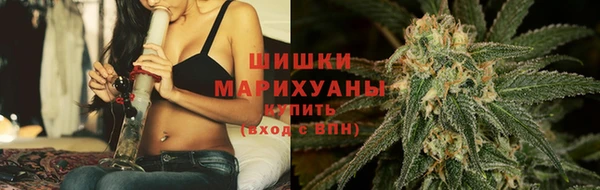 PSILOCYBIN Каменка