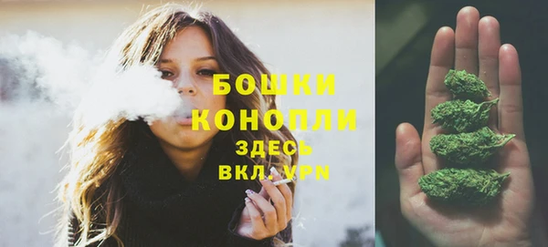PSILOCYBIN Каменка