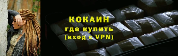 PSILOCYBIN Каменка
