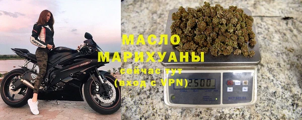 PSILOCYBIN Каменка