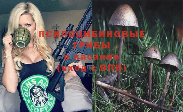 синтетический гашиш Каменск-Шахтинский