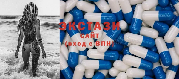 PSILOCYBIN Каменка