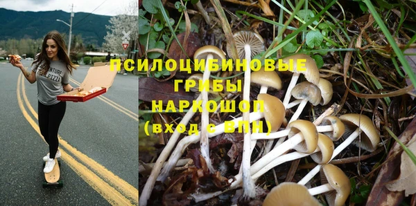 синтетический гашиш Каменск-Шахтинский