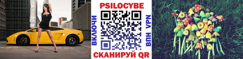 Псилоцибиновые грибы Magic Shrooms  Купить где  Дюртюли 